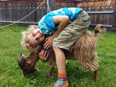 Bild 12 aus  Bifeis Hütte Ferienwohnungen Altenmarkt Zauchensee
