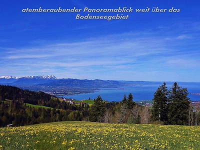 Bild 2 aus  Mühlenhof - auf der Aussichtsterrasse über dem Bodensee