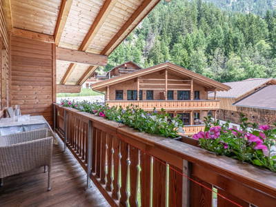 Bild 339 aus  Der Ortnerhof