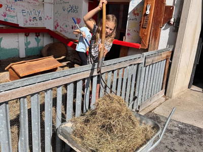 Bild 97 aus  Ferienwohnung Wallner