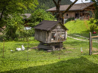 Bild 11 aus  Kesslerhof