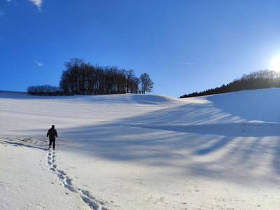 Bild 74 aus  Obergrafenberger