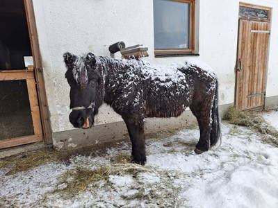 Bild 46 aus  Pfandlinghof