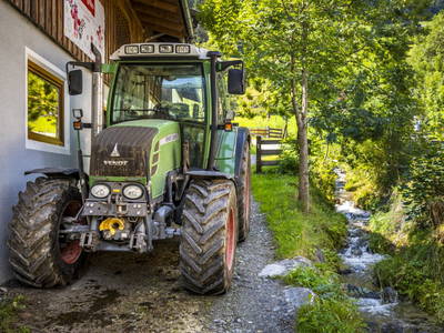 Bild 150 aus  Bio-Bauernhof Schweizerhof