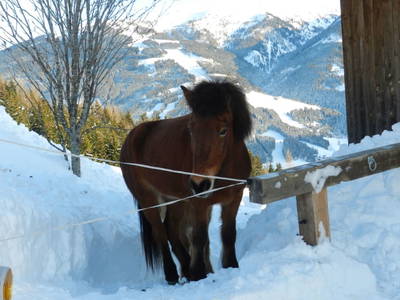 Bild 62 aus  Oberegghof