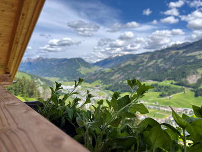 Bild 6 aus  Riedlhof