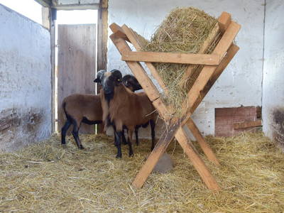 Bild 10 aus  Ferienbauernhof & Gästehaus Fießer