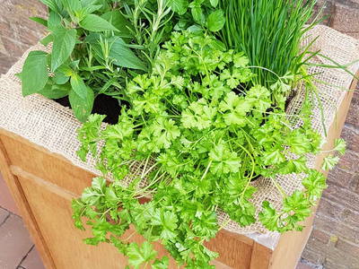 Bild 11 aus  Warnken-Urlaub