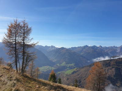 Bild 44 aus  Bauernhof Ober