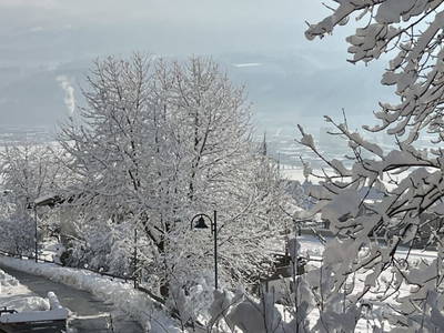 Bild 89 aus  Karlhof