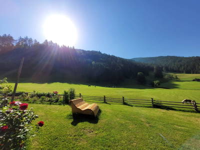 Bild 16 aus  Der Perweinhof