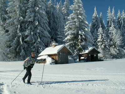 Bild 64 aus  Haus Linda