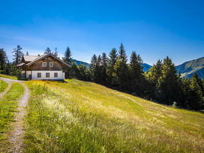 Bild 50 aus  Ebenhütte