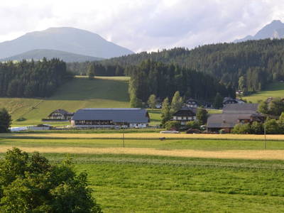 Bild 35 aus  Thomanhof