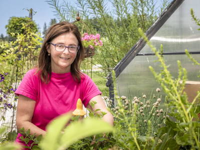 Bild 21 aus  Pointbauer