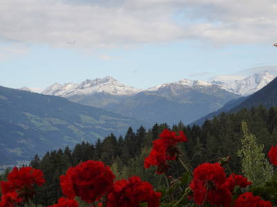 Bild 40 aus  Goglhof