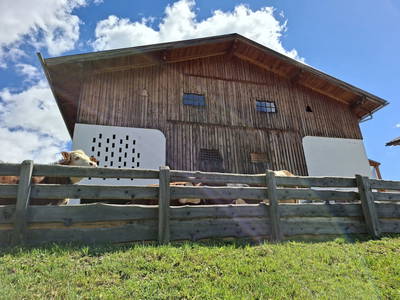 Bild 44 aus  Chalet Mittner Wirt
