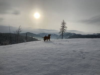Bild 47 aus  Holzknechthütte