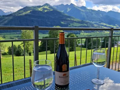 Bild 61 aus  Wengerbauer