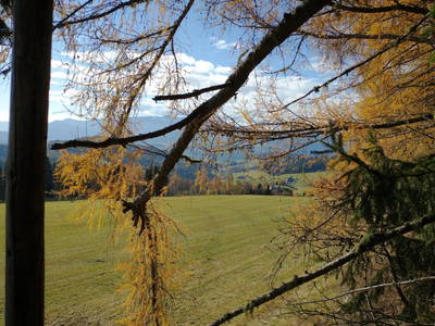 Bild 19 aus  BIO Heubauernhof Tonibauer