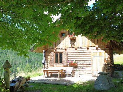 Bild 63 aus  Almhütte Meierle