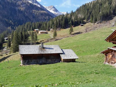 Bild 26 aus Schuster Alm