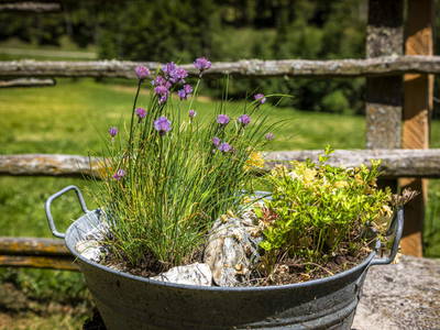 Bild 71 aus  Eseihütte