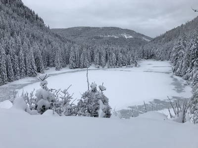 Bild 46 aus  TANAs Almhütte