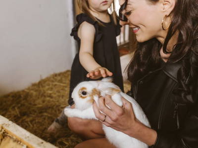 Bild 22 aus  Knappenhof