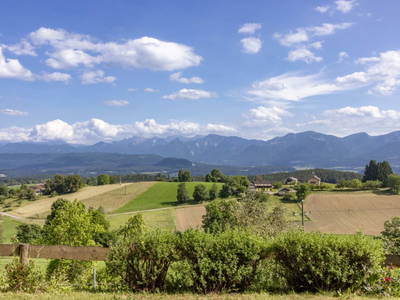 Bild 27 aus  Pleschinhof