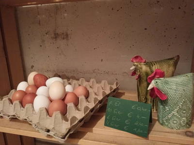 Bild 182 aus  Haus Hagspiel