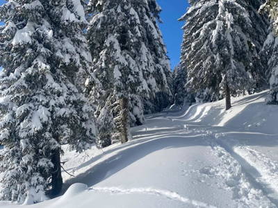 Bild 64 aus  Unplugged Almhütte "Waldbauer" in Alleinlage