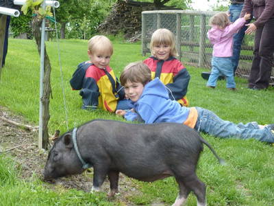Kinder mit Hängebauchschwein