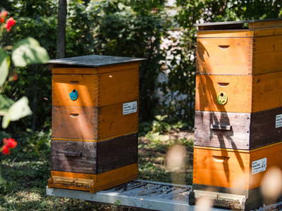 Bild 34 aus  Ferienwohnung Engel