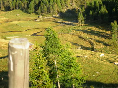 Bild 16 aus  Suntinger Kasa