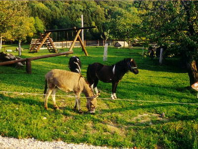 Bild 57 aus  Forellenhof