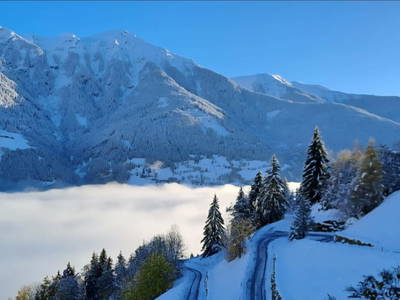 Bild 89 aus  Hartlgut