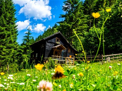 Bild 2 aus Almhuette Auszeit