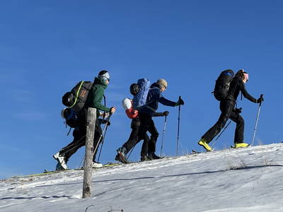 Bild 95 aus  Biohof Seidl