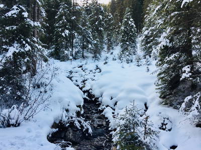 winterliche Eindrücke