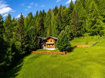 Bild 3 aus  Almhütte Ploner