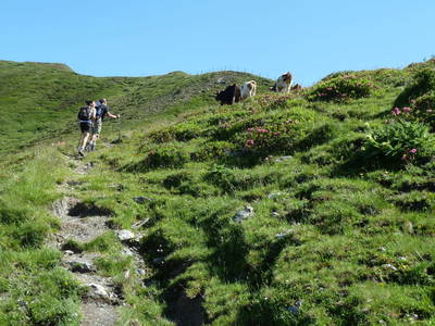 Bild 25 aus  Ferienwohnung Barbara