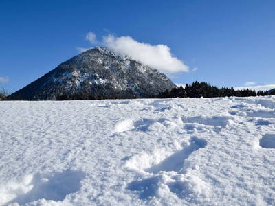 Bild 21 aus  Dorfhof