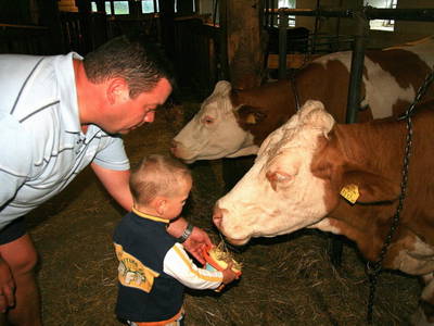 Bild 16 aus  Hof Wieser - Kinderbauernhof