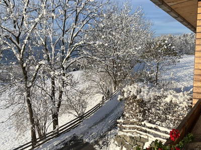 Bild 106 aus  Karlhof