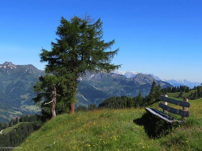 Bild 26 aus  Landhaus Dorfer - Obergollegg