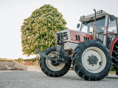 Bild 78 aus  Wieserhof