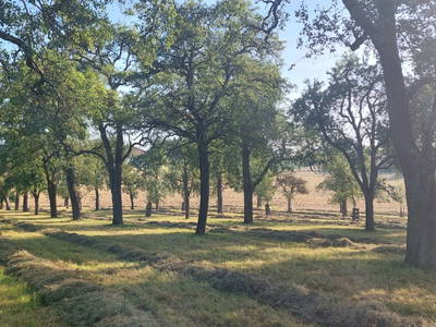 Bild 26 aus Ferienhof Turmkeller