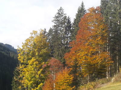 Bild 188 aus  Untererschbaum