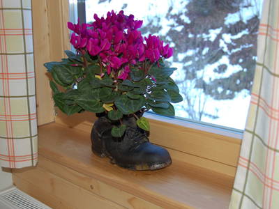 Bild 14 aus  Friedler